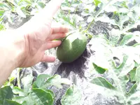 20130707_111513.webp