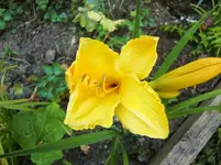 CIMG7863.webp