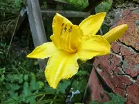 CIMG7867.webp