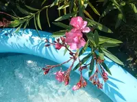 CIMG7764.webp