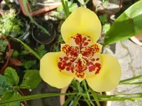 CIMG7774.webp