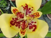 CIMG7733.webp