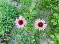 CIMG7624.webp
