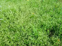 CIMG7720.webp