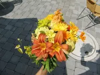 CIMG7742.webp