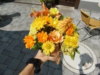 CIMG7741.webp