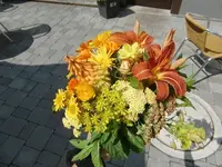 CIMG7740.webp
