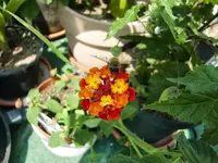 CIMG7757.webp