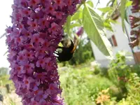 CIMG7812.webp