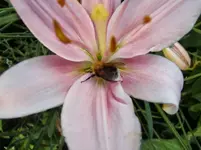CIMG7876.webp