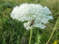 CIMG7670.webp