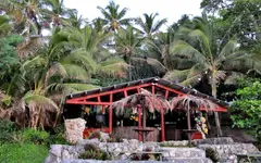 IMG_1932-v (1).webp