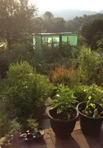 Garten.webp