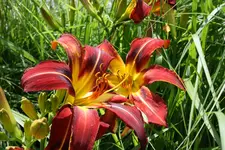 IMG_4073.webp