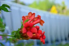 DSC_0355.webp