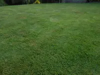 DSCN0270.webp