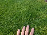 DSCN0272.webp