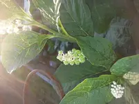 20130715_204156.webp