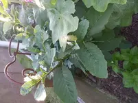 20130715_204202.webp