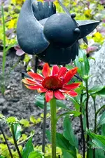 _Sonnenhut Eccentric.webp