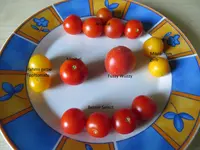IMG_0011 - Kopie.webp
