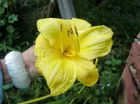 CIMG7911.webp