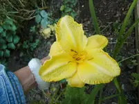 CIMG7907.webp