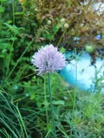 CIMG7900.webp