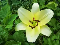 CIMG7883.webp