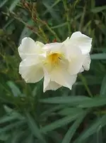 003[1].webp