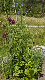 IMG_3869.webp