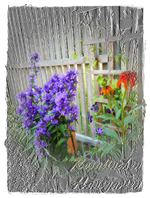 Knäuelglockenblumen.webp