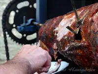 Wildschwein am Grill.webp