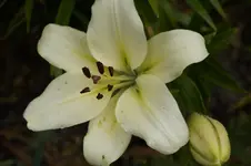 _DSC2614.webp