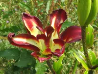 022_1024x768.webp