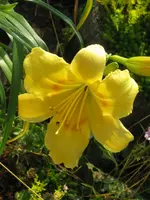 anja 7 1_576x768.webp