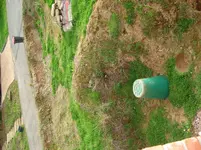 april 2013 011.webp