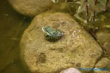 comp_DSC09890.webp