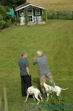 comp_DSC09908.webp