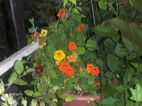 HPIM9778.webp