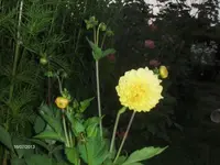 HPIM9783.webp