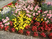 SAM_1362.webp