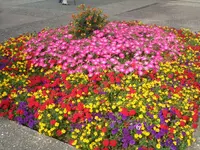 SAM_1361.webp