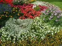 SAM_1352.webp