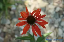 comp_DSC09948.webp