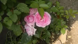 2013-07-13-2689.webp