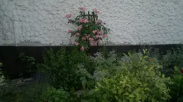 2013-07-15-2760.webp