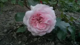 2013-07-16-2772.webp