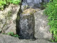 032.webp