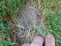 DSCN0276.webp